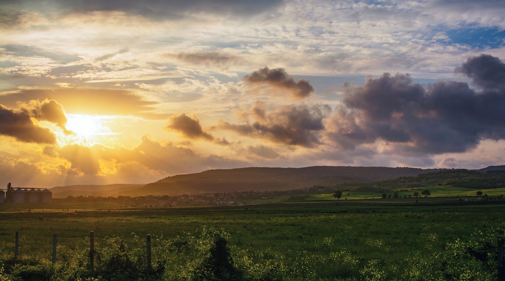 Majestic summer sunsets!