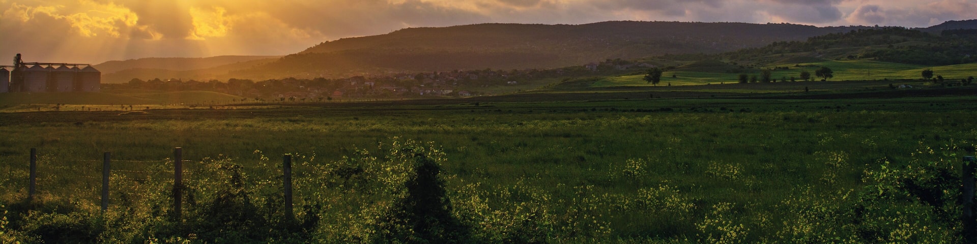 Majestic summer sunsets!