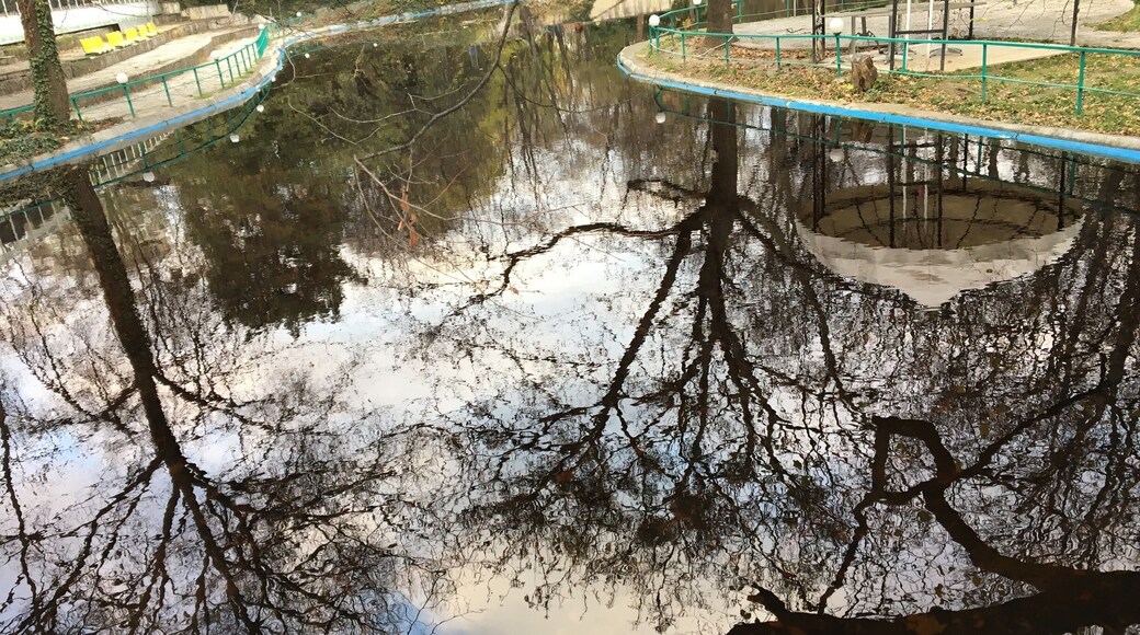 Beautiful lake in the middle a amazing park !
Sea garden