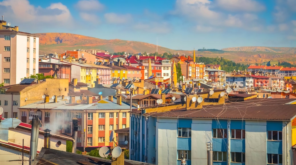 Beautiful aerial view on city Sivas, Turkey