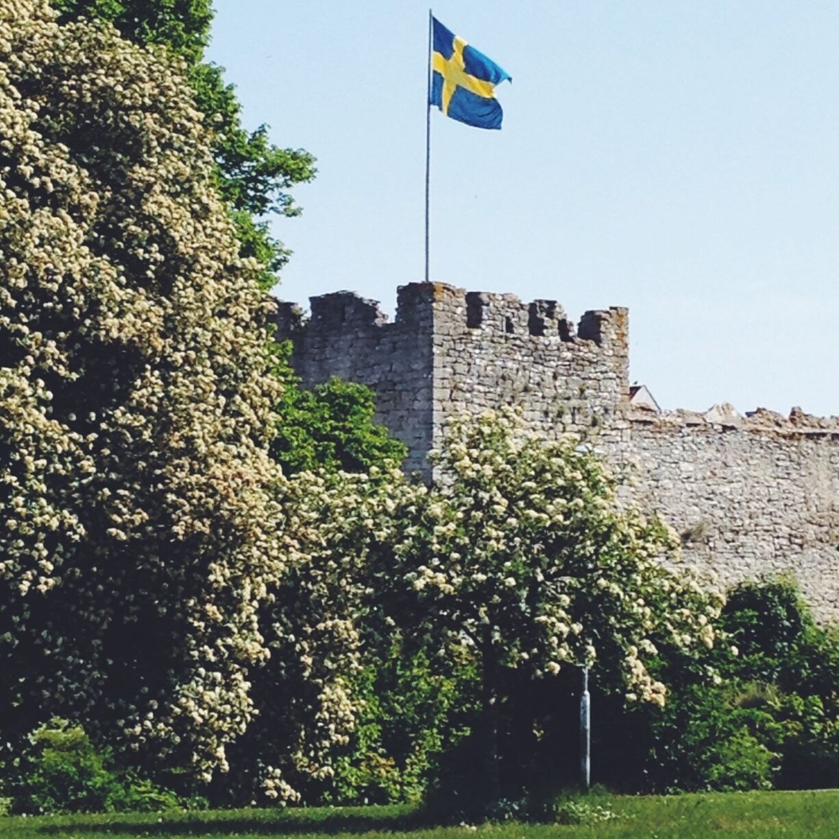 Love this walled city. So much history, culture and beauty on this island, and especially in Visby!