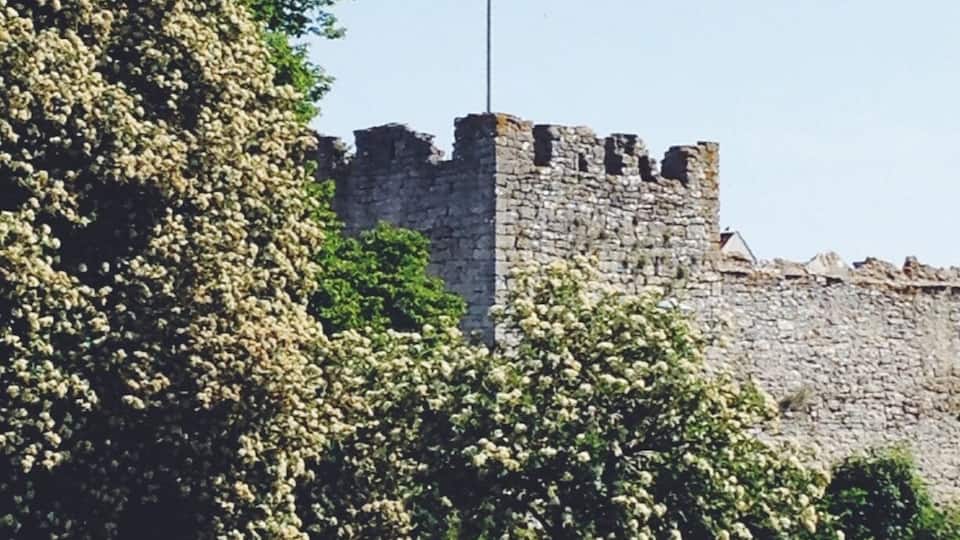 Love this walled city. So much history, culture and beauty on this island, and especially in Visby!