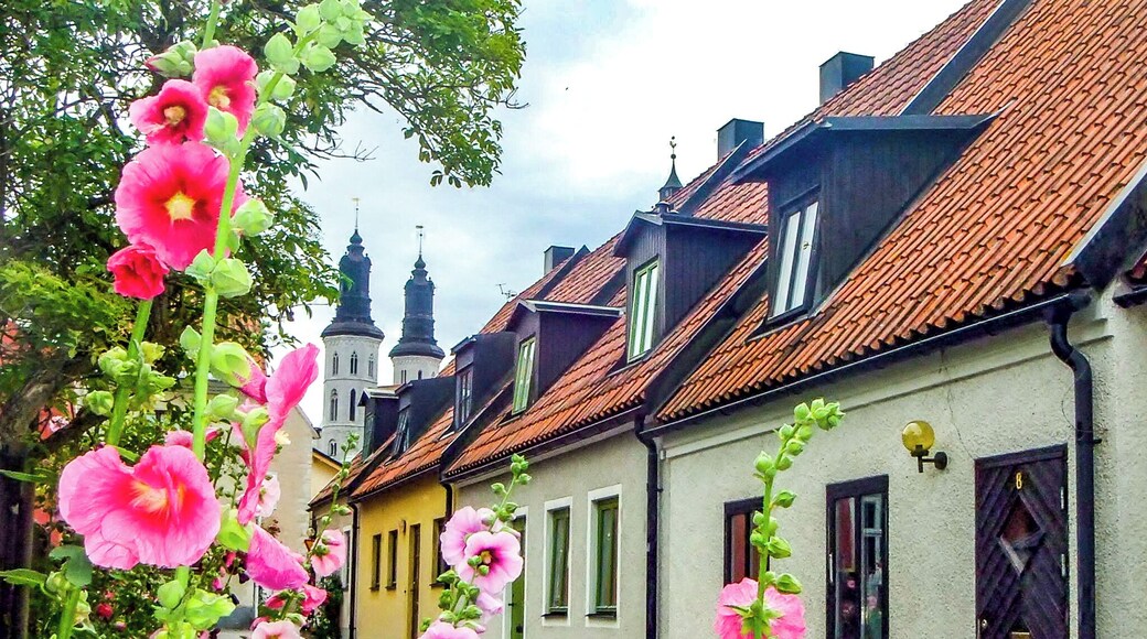 Wandering the colourful streets of Visby.