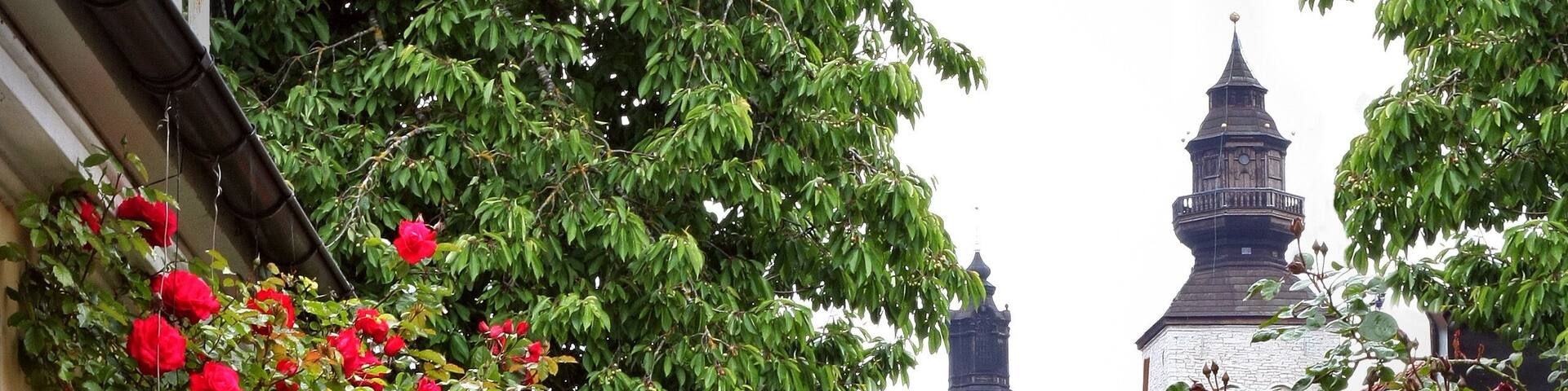 Wonderful alley of roses in the medieval town of visby.