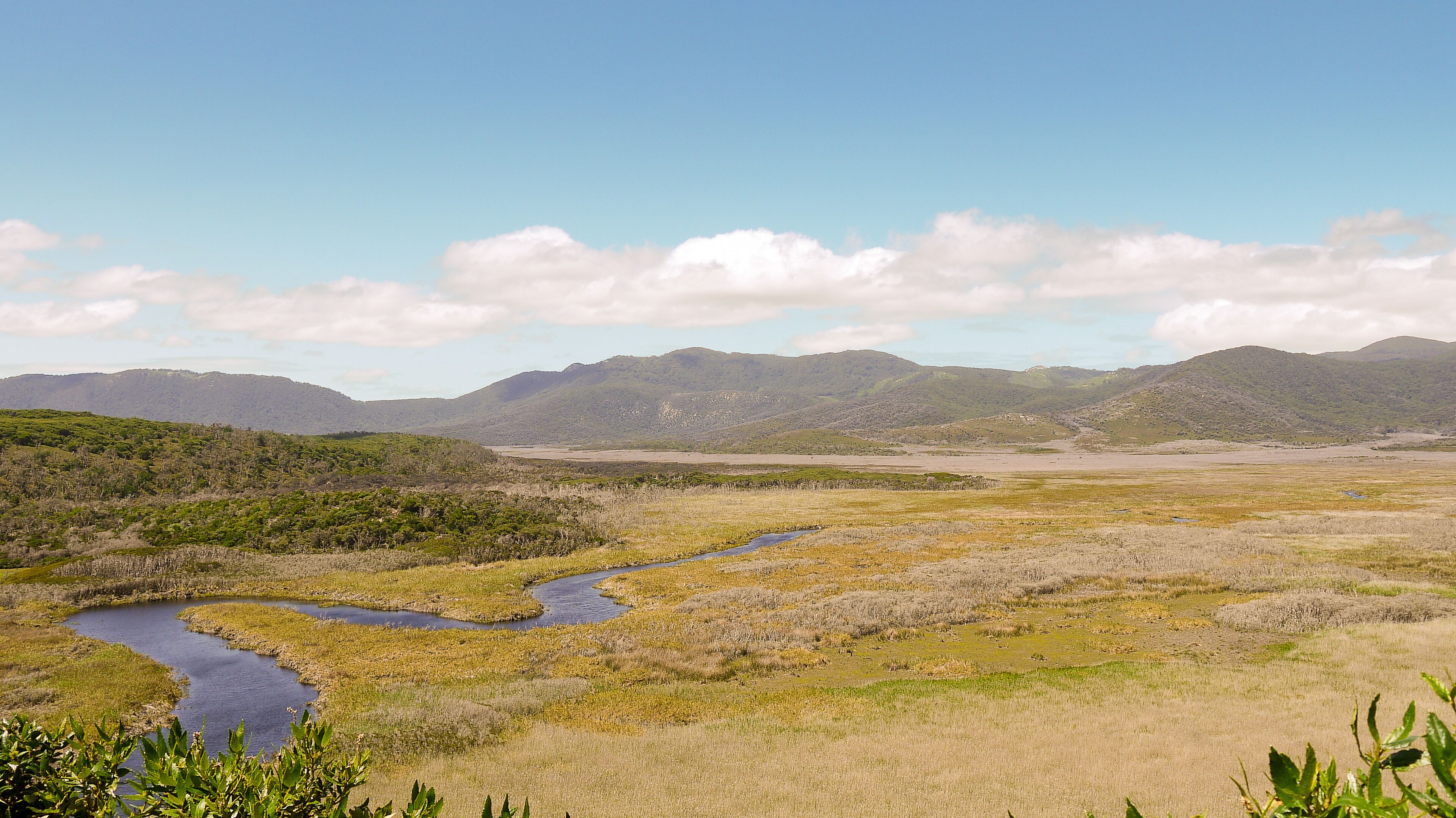 A river winding through a grassy landscape with distant mountains under a clear sky.