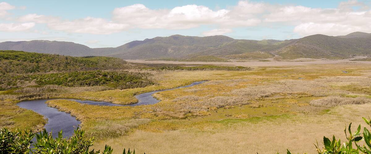 A river winding through a grassy landscape with distant mountains under a clear sky.