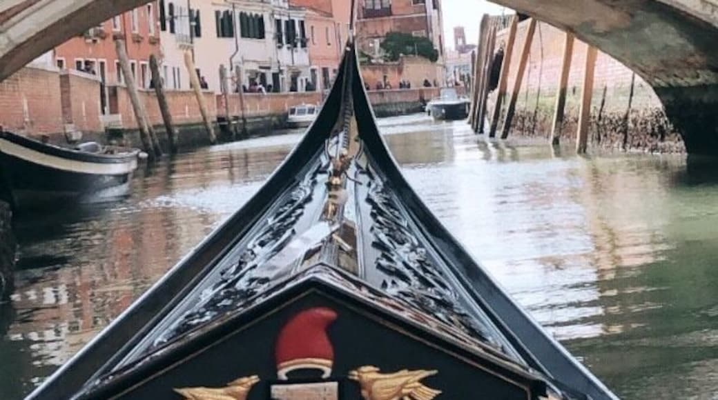 Gorgeous ride through the Venice canals, completed with a fantastic photo opportunity! 12/10 recommend a trip to Venice! It is an absolutely incredible city with such unique features! Perfect for just going out and exploring!