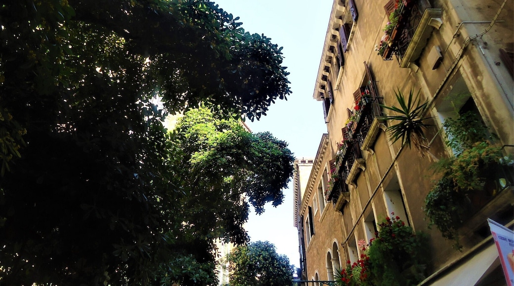 Walking through the cool shade of the #SalizadaSanRocco I couldn't help but admire the colour and the Beautiful buildings in this street, with the #Basilica dei Frari peepng through the #trees.
#Mediterranean
#LifeatExpedia
#Blue
#Architecture
#Colorful
#TreeTrove