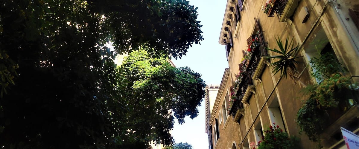 Walking through the cool shade of the #SalizadaSanRocco I couldn't help but admire the colour and the Beautiful buildings in this street, with the #Basilica dei Frari peepng through the #trees.
#Mediterranean
#LifeatExpedia
#Blue
#Architecture
#Colorful
#TreeTrove