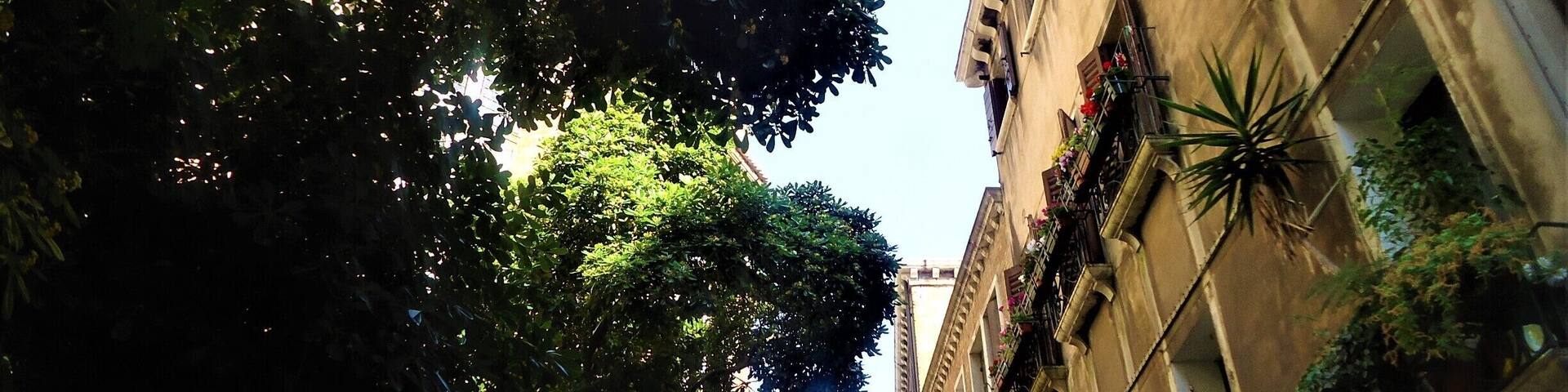 Walking through the cool shade of the #SalizadaSanRocco I couldn't help but admire the colour and the Beautiful buildings in this street, with the #Basilica dei Frari peepng through the #trees.
#Mediterranean
#LifeatExpedia
#Blue
#Architecture
#Colorful
#TreeTrove