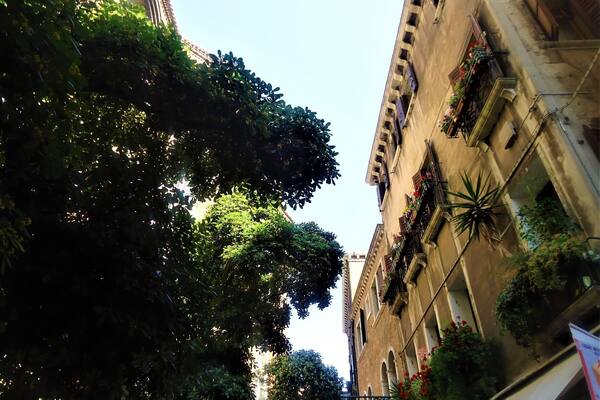 Walking through the cool shade of the #SalizadaSanRocco I couldn't help but admire the colour and the Beautiful buildings in this street, with the #Basilica dei Frari peepng through the #trees.
#Mediterranean
#LifeatExpedia
#Blue
#Architecture
#Colorful
#TreeTrove