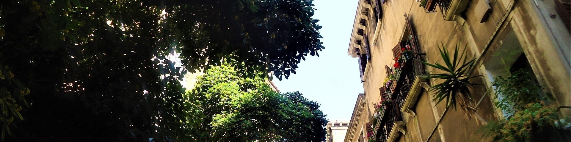 Walking through the cool shade of the #SalizadaSanRocco I couldn't help but admire the colour and the Beautiful buildings in this street, with the #Basilica dei Frari peepng through the #trees.
#Mediterranean
#LifeatExpedia
#Blue
#Architecture
#Colorful
#TreeTrove