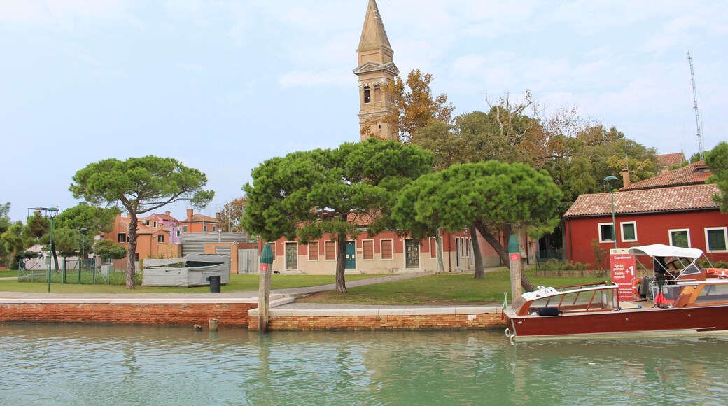 Torcello, Venice, Italy
#green #greenphotosweepstakes