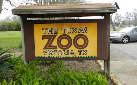 Amate Travel Vuelos Economicos Houston Miami New York Vuelos Miami