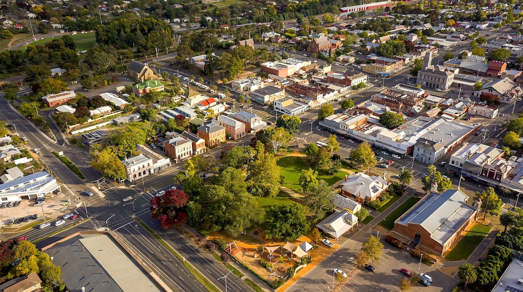 Castlemaine Business District - Victory Park View – Central Victoria, Australia