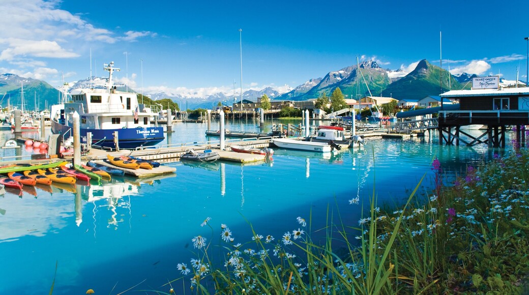 Valdez mettant en vedette montagnes, kayak ou canoë et navigation