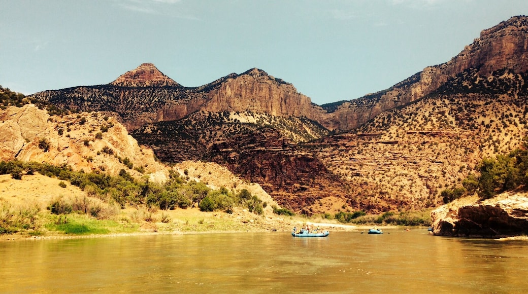 Awesome rafting trip with Adrift. Starts in Gates of Ladore in Colorado and ended in Utah. Group of 25 for this adventure of rafting, camping and fun!