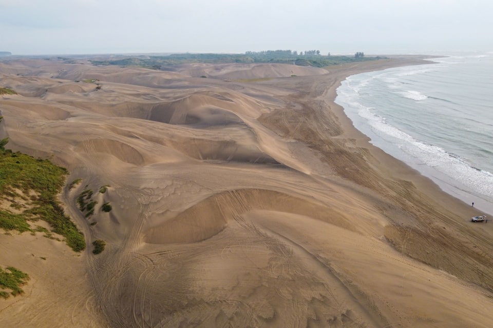 Un paisaje costero con dunas ondulantes, una playa y vegetación escasa.