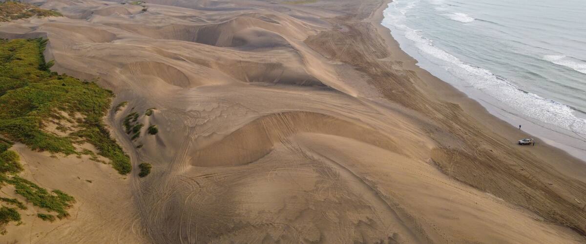 A coastal landscape with undulating sand dunes, a beach, and sparse vegetation.
