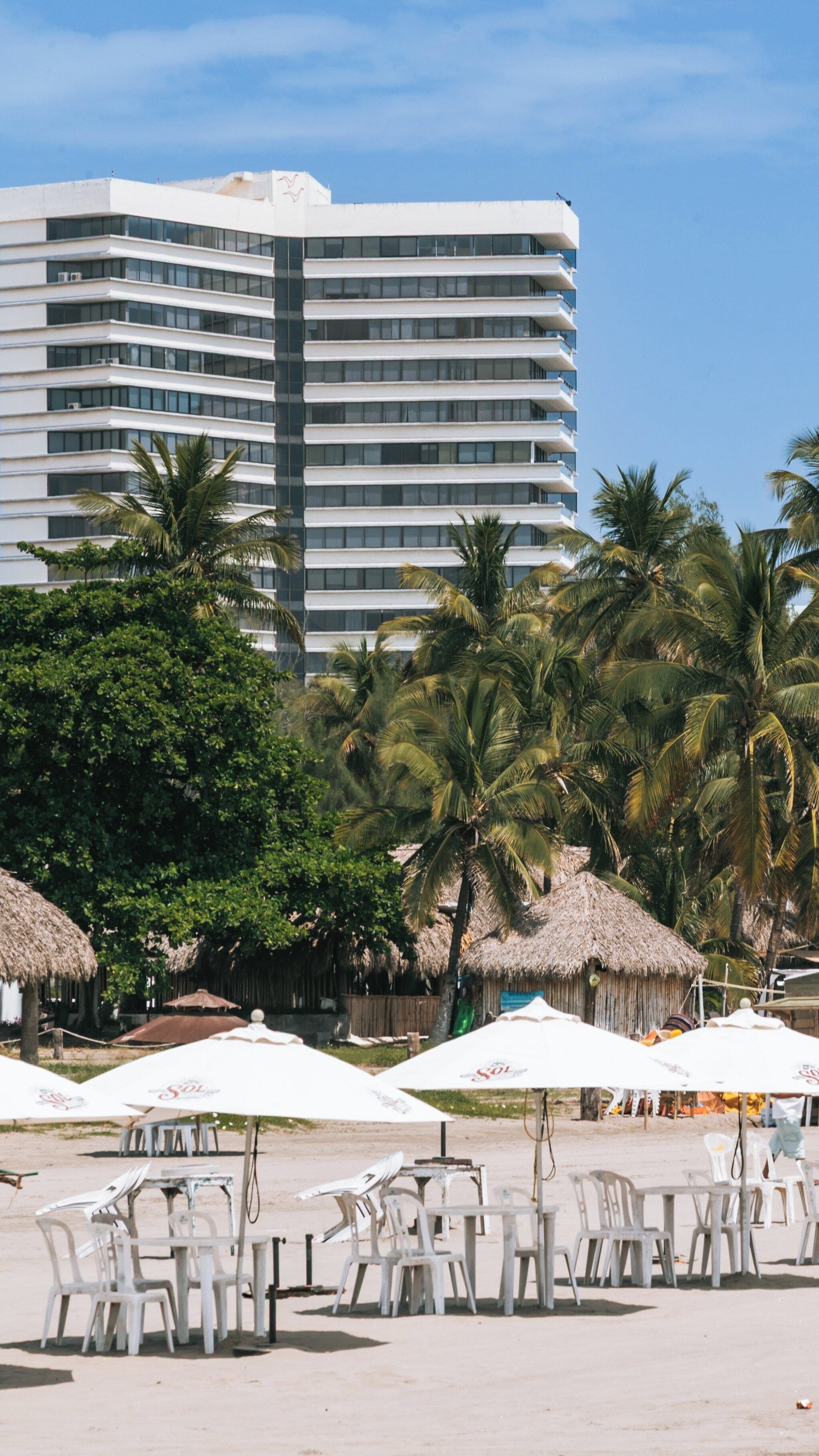 Mocambo Beach in Veracruz showcases beautiful palm trees and inviting beachside seating under clear skies, perfect for relaxation and enjoyment of coastal views