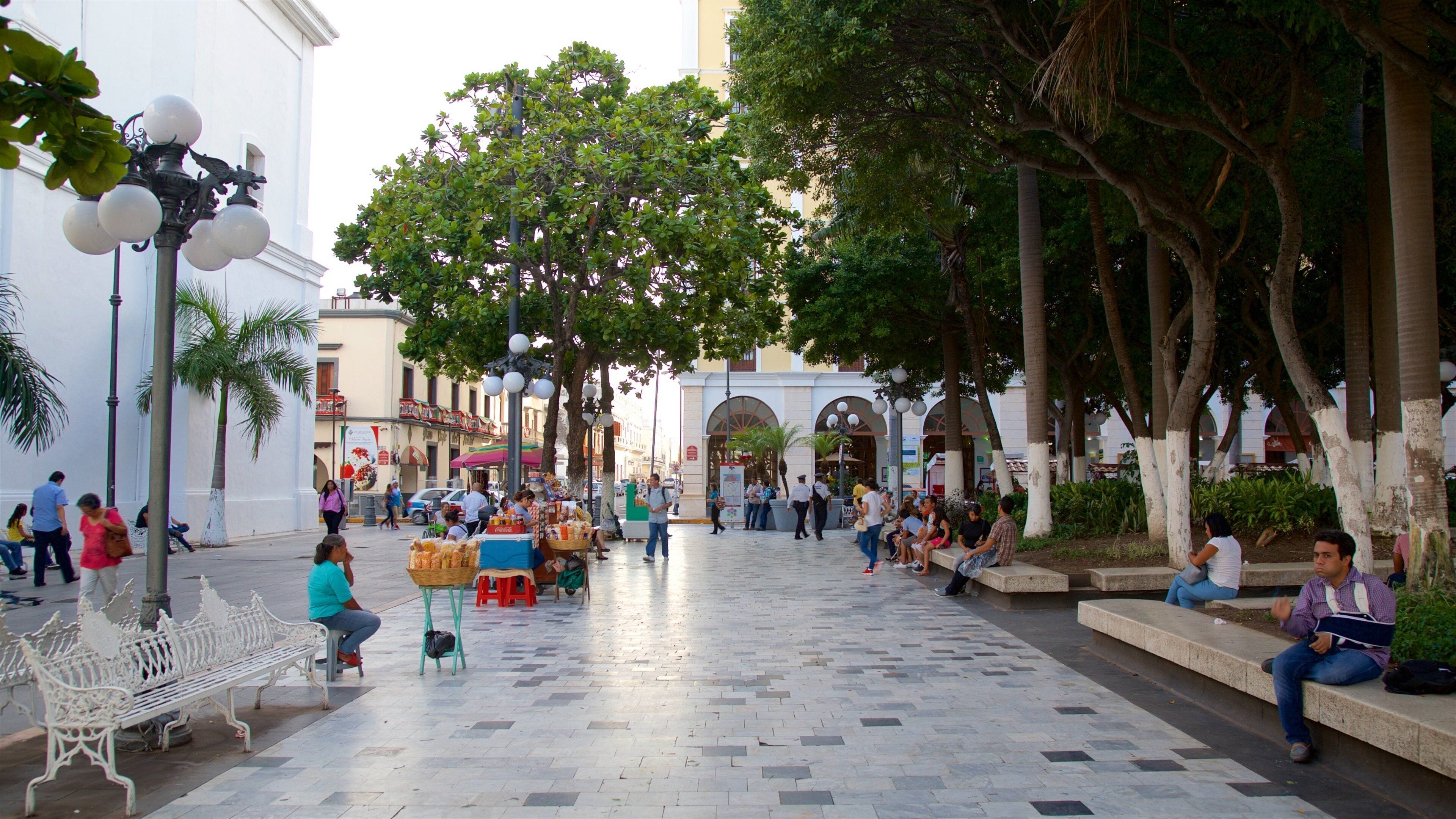 Veracruz ofreciendo un parque o plaza