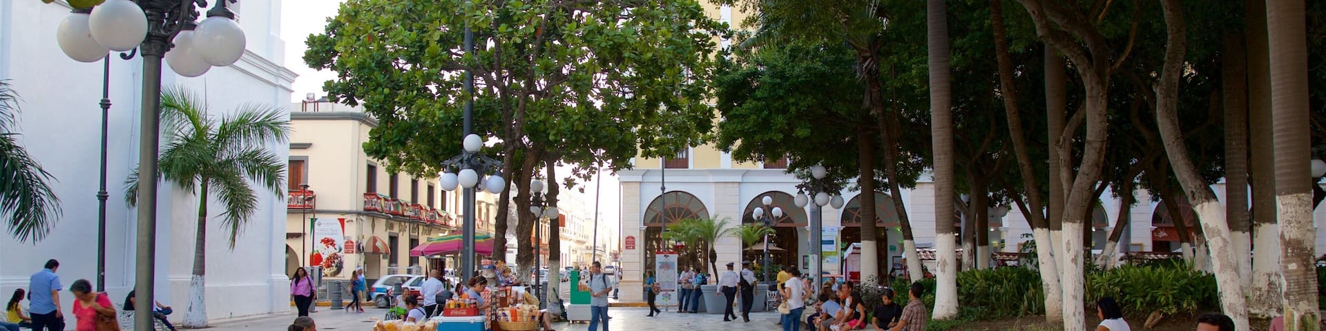 Veracruz featuring a square or plaza