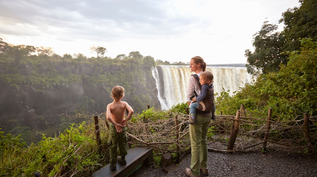 Victoria Falls