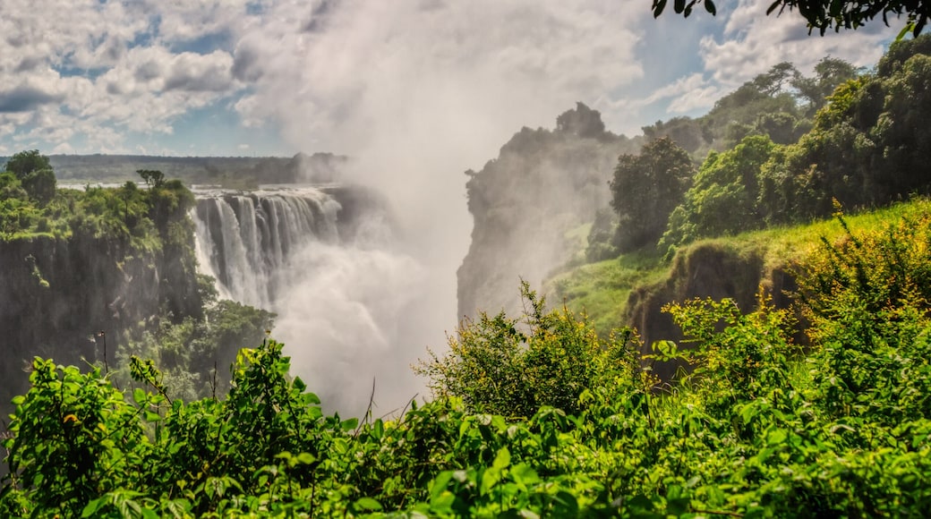 Victoria falls