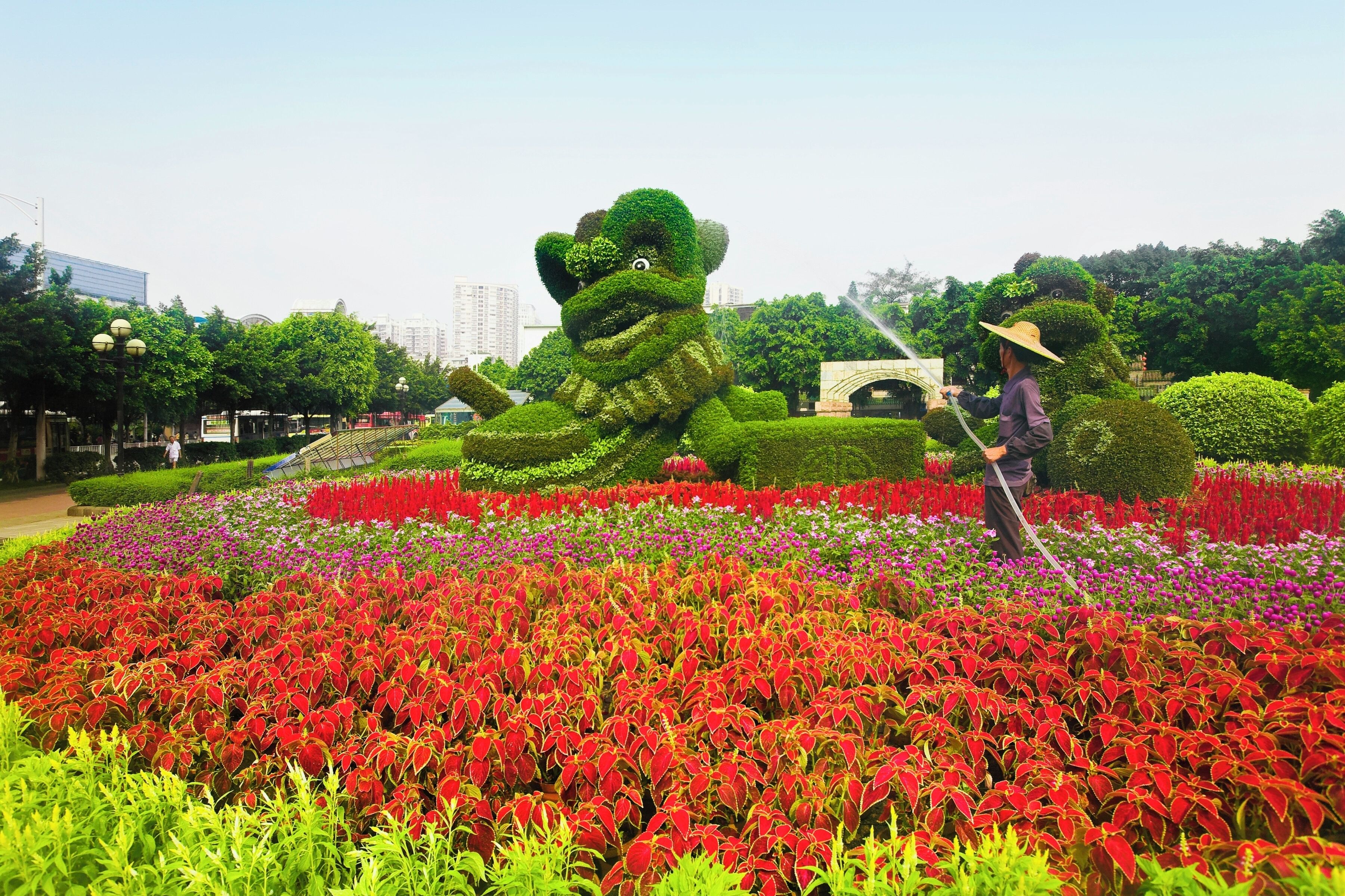 Side profile of a man watering flowers, Chen Clan Academy, Guangzhou, Guangdong Province, China