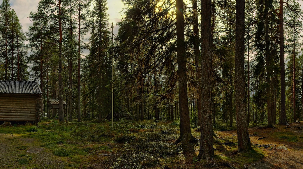 Panorama of Sami camp in Vilhelmina, Sweden