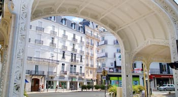 Vichy showing a city