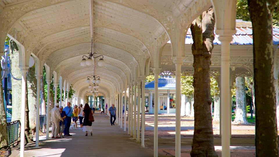 Vichy welches beinhaltet Straßenszenen sowie kleine Menschengruppe