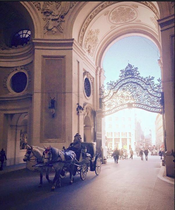So much love for Vienna, it is a stunningly beautiful city.  This is just outside the entrance to the Spanish Riding School, where it honestly felt like we'd stepped back in time.  We went in January when a visit to Weiner Eistraum has to be on your list (Google it, spectacular setting, but sadly my photos didn't do it justice - I blame the Gluhwein!!) #Austria #Architecture