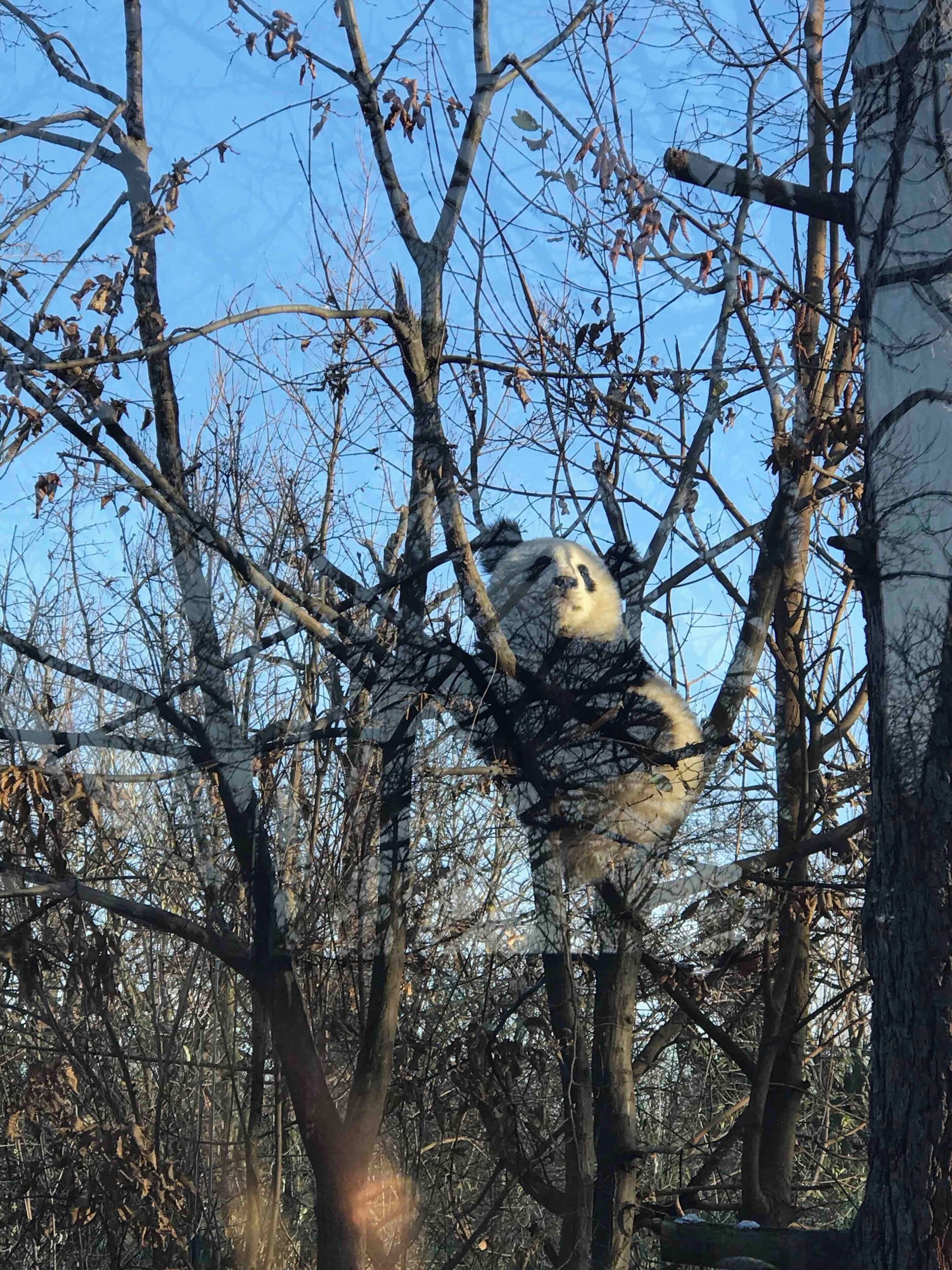 Vienna, Austria
#Culture