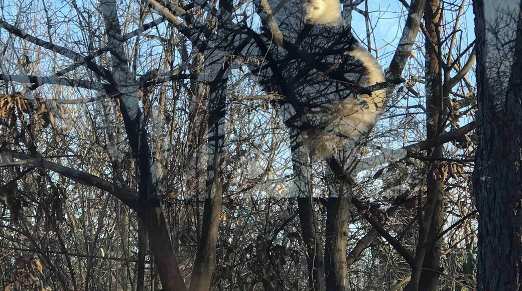 Vienna, Austria
#Culture