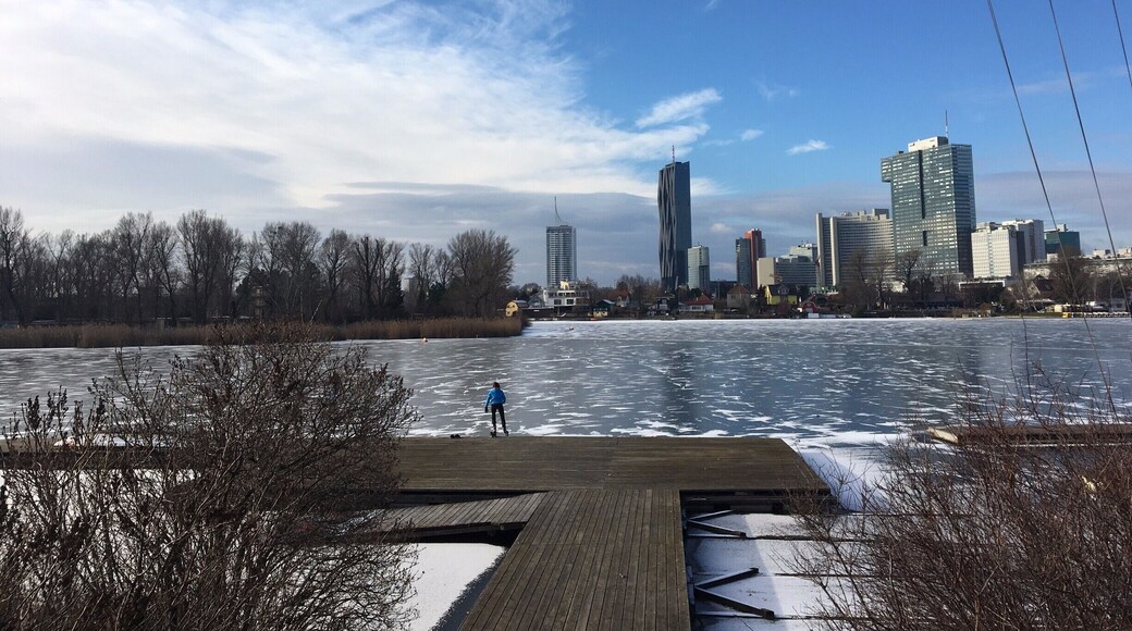 ice skating on the Old Danube river #lifeatexpedia