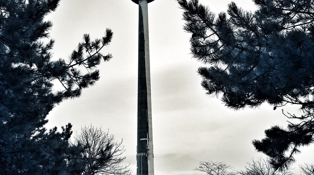 A quick ride to the top and you're rewarded with some amazing views over Vienna