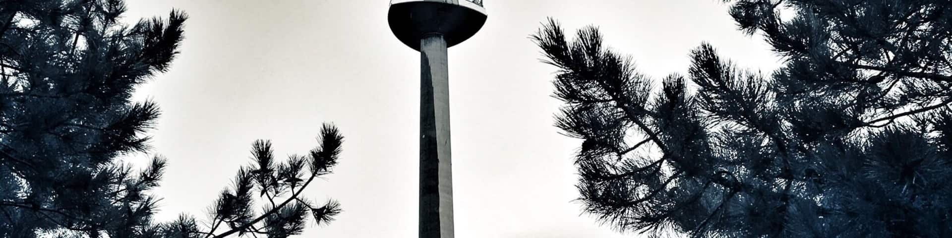 A tall tower with a spire, surrounded by trees in a park.