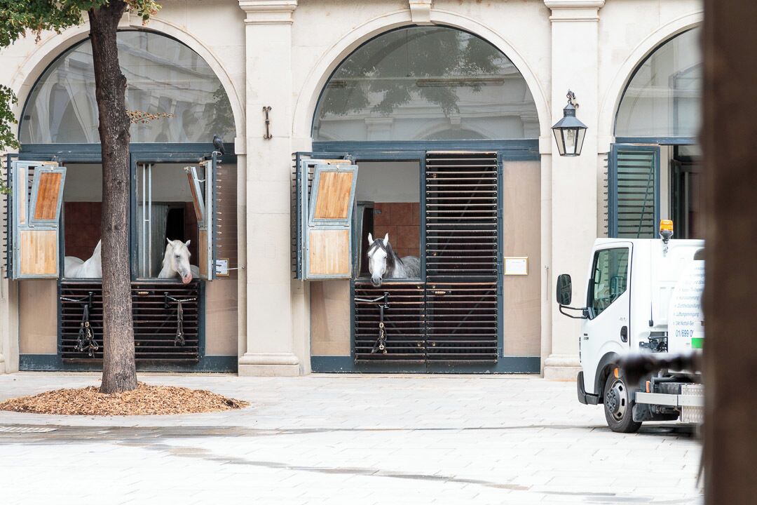 Looking at the stables of the Spanish Riding School on our tour around Vienna.

It is amazing that at the centre of this bustling city you find hours stables.
