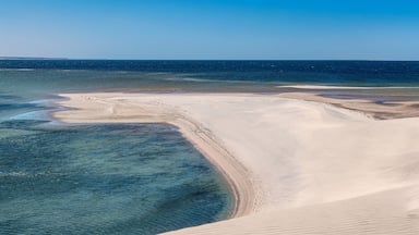 A coastal landscape with sand dunes and a clear blue sea.