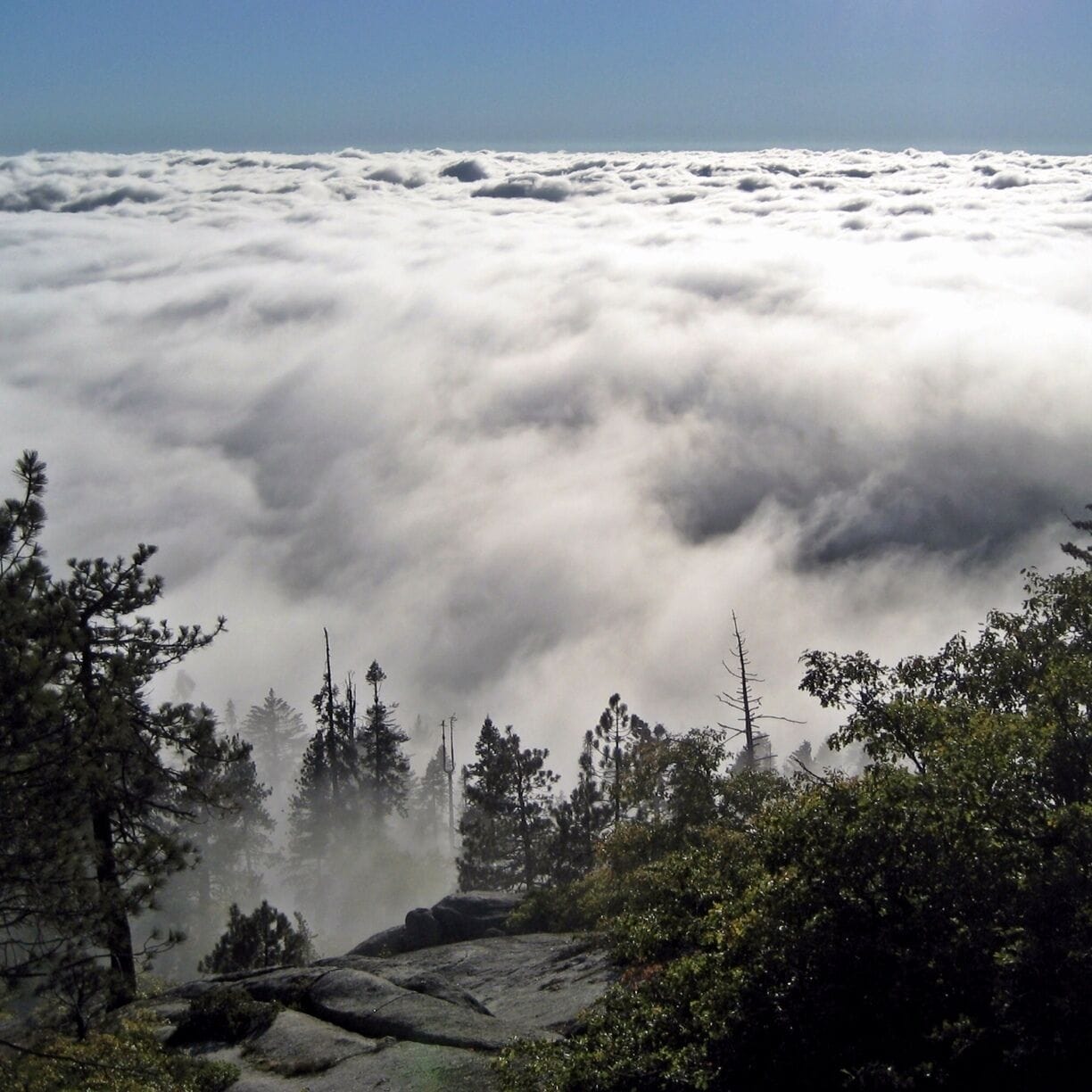 It was a well worth the drive through the rain and thick clouds. 