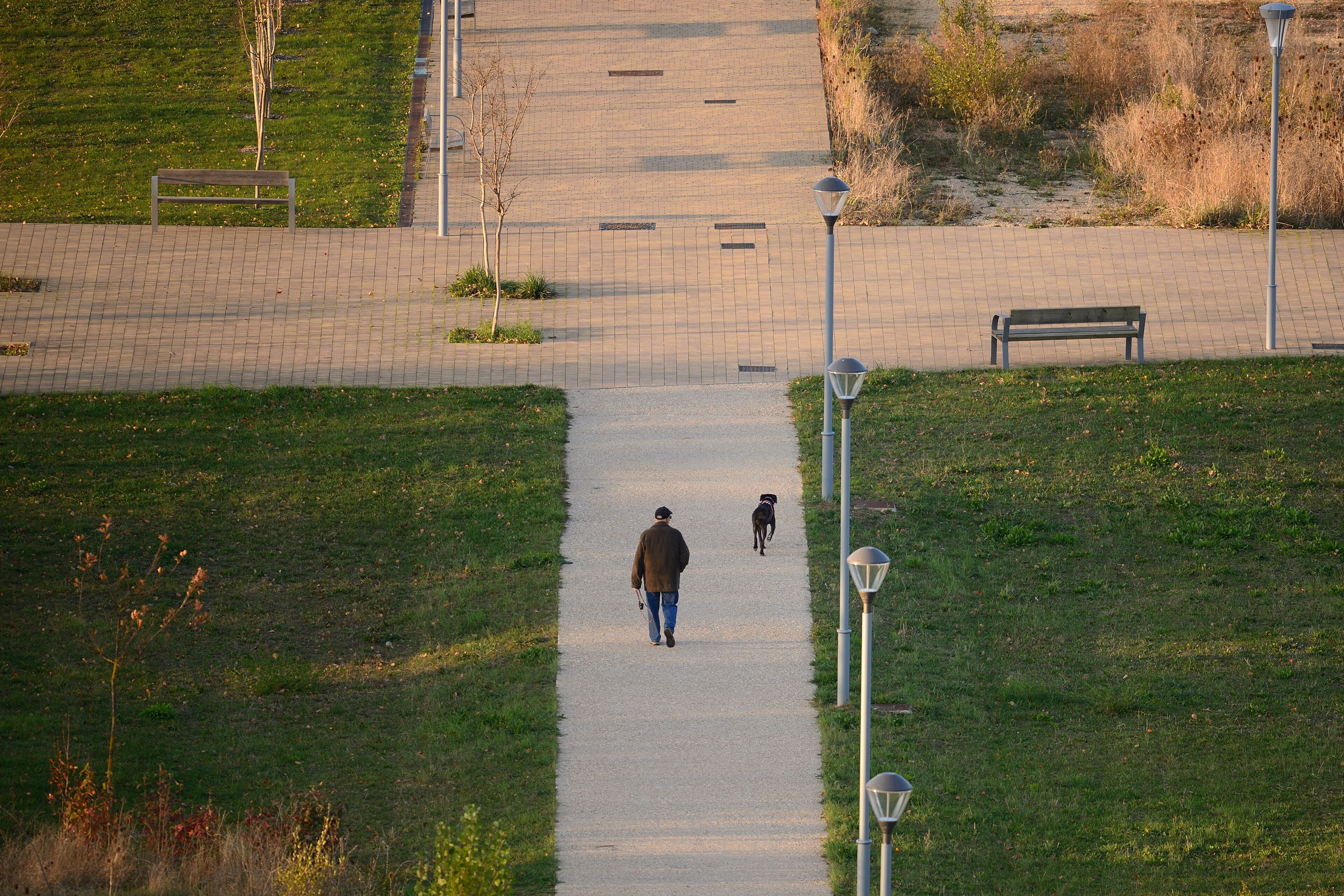 paseando al perro por un parque de la ciudad de Vitoria-Gasteiz (Spain)