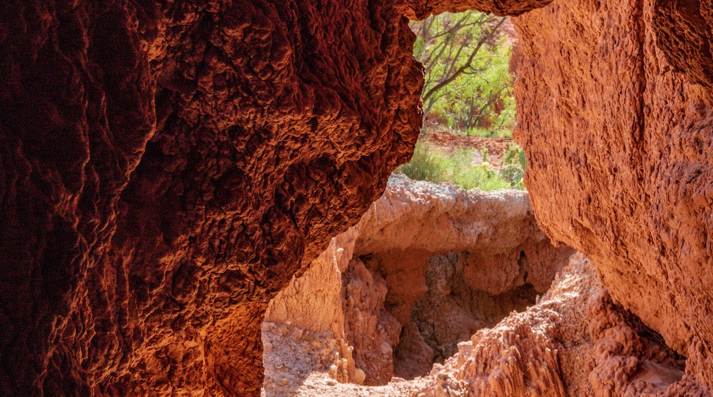 Palo Duro Canyon State Park in Canyon, Texas near Amarillo, Texas