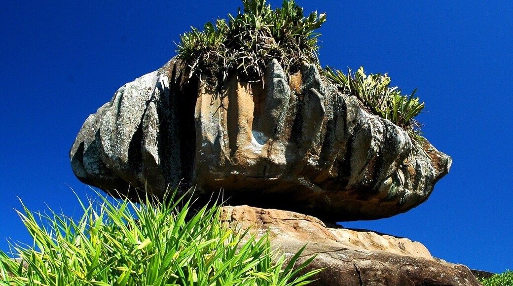 Good place to practice exercises or relax.