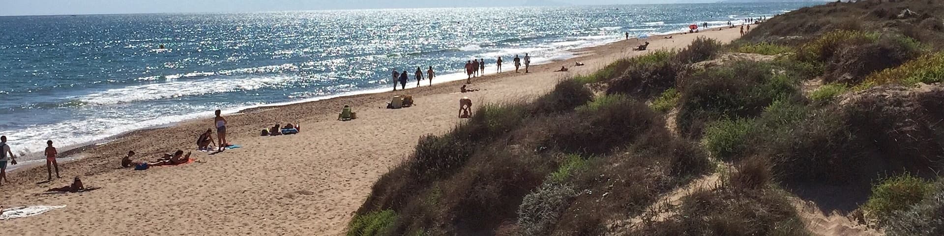 With this rainy weather âïžâĄïžâïž with which we're stepping into autumn, I can't avoid thinking (thousand times a day!) about this đđŒđđŒ. Just 15 min away from the chaos of the city you'll find "El Saler" beach, located in a protected natural area. I've always loved these sand dunes đđ. Who else here is crazy about the beach?
âąâąâąâąâąâąâąâąâąâąâąâąâąâąâąâąâąâąâąâąâąâąâąâąâąâąâąâąâą
Con este tiempo tan tristĂłn âïžâĄïžâïž con el que estamos inaugurando el otoño, ÂżcĂłmo no me voy a acordar de esto? đđŒđđŒ. A sĂłlo 15 minutillos de la ciudad en coche, estĂĄ la playa del Saler, en el Parque Natural de la Albufera. Siempre me han gustado esas dunas que tiene đđ. ÂżA quiĂ©n mĂĄs le chifla playa?
