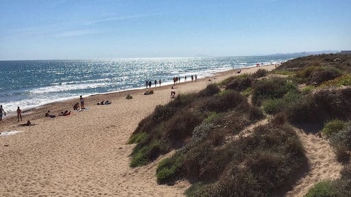 With this rainy weather ☔️⚡️☔️ with which we're stepping into autumn, I can't avoid thinking (thousand times a day!) about this 👆🏼👆🏼. Just 15 min away from the chaos of the city you'll find "El Saler" beach, located in a protected natural area. I've always loved these sand dunes 😊💕. Who else here is crazy about the beach?
•••••••••••••••••••••••••••••
Con este tiempo tan tristón ☔️⚡️☔️ con el que estamos inaugurando el otoño, ¿cómo no me voy a acordar de esto? 👆🏼👆🏼. A sólo 15 minutillos de la ciudad en coche, está la playa del Saler, en el Parque Natural de la Albufera. Siempre me han gustado esas dunas que tiene 😊💕. ¿A quién más le chifla playa?