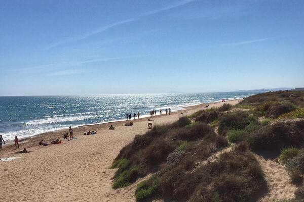 With this rainy weather âïžâĄïžâïž with which we're stepping into autumn, I can't avoid thinking (thousand times a day!) about this đđŒđđŒ. Just 15 min away from the chaos of the city you'll find "El Saler" beach, located in a protected natural area. I've always loved these sand dunes đđ. Who else here is crazy about the beach?
âąâąâąâąâąâąâąâąâąâąâąâąâąâąâąâąâąâąâąâąâąâąâąâąâąâąâąâąâą
Con este tiempo tan tristĂłn âïžâĄïžâïž con el que estamos inaugurando el otoño, ÂżcĂłmo no me voy a acordar de esto? đđŒđđŒ. A sĂłlo 15 minutillos de la ciudad en coche, estĂĄ la playa del Saler, en el Parque Natural de la Albufera. Siempre me han gustado esas dunas que tiene đđ. ÂżA quiĂ©n mĂĄs le chifla playa?