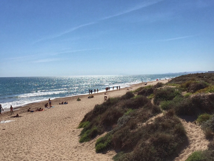 With this rainy weather ☔️⚡️☔️ with which we're stepping into autumn, I can't avoid thinking (thousand times a day!) about this 👆🏼👆🏼. Just 15 min away from the chaos of the city you'll find "El Saler" beach, located in a protected natural area. I've always loved these sand dunes 😊💕. Who else here is crazy about the beach?
•••••••••••••••••••••••••••••
Con este tiempo tan tristón ☔️⚡️☔️ con el que estamos inaugurando el otoño, ¿cómo no me voy a acordar de esto? 👆🏼👆🏼. A sólo 15 minutillos de la ciudad en coche, está la playa del Saler, en el Parque Natural de la Albufera. Siempre me han gustado esas dunas que tiene 😊💕. ¿A quién más le chifla playa?