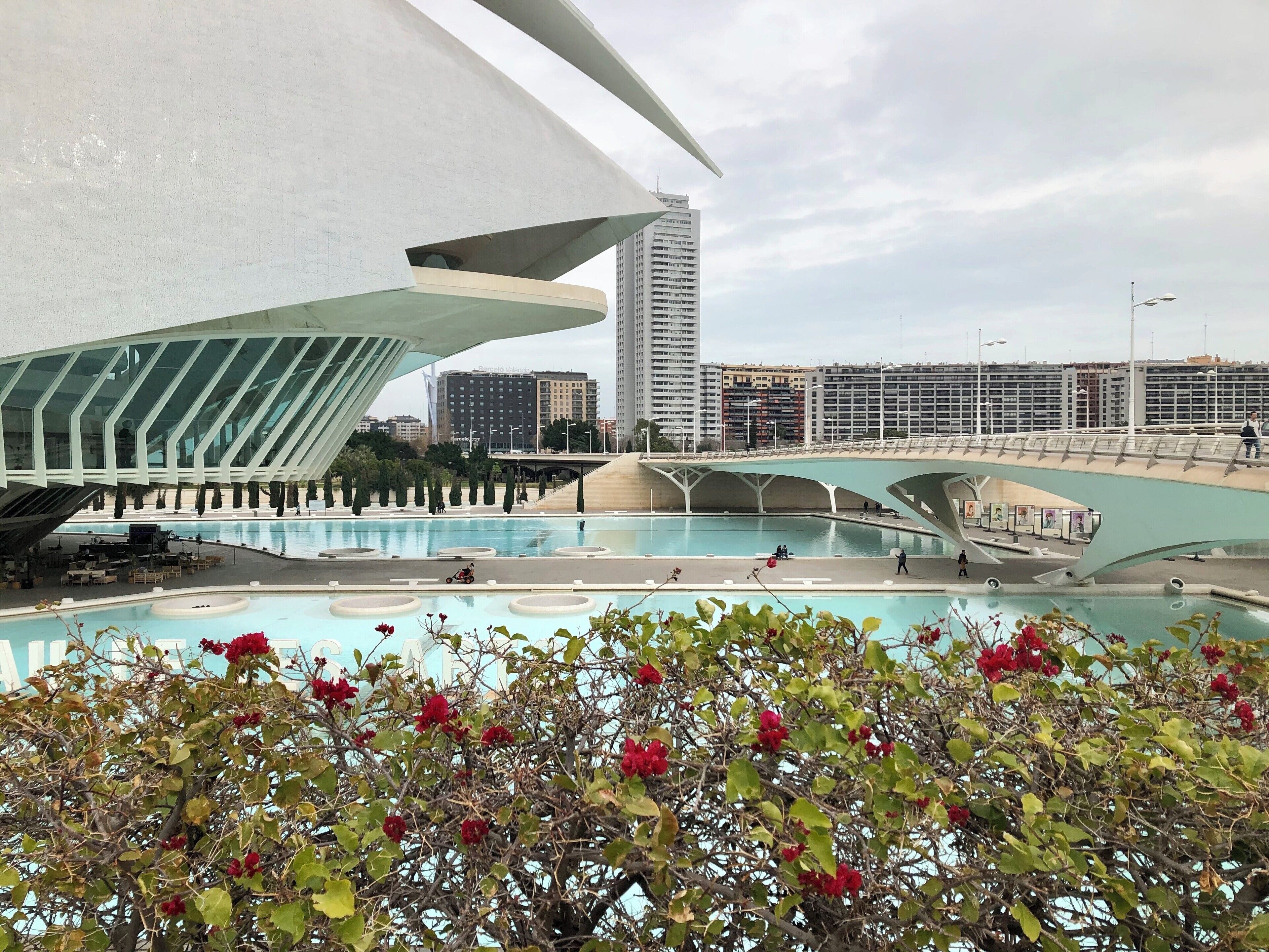 Beautiful colors in the Río