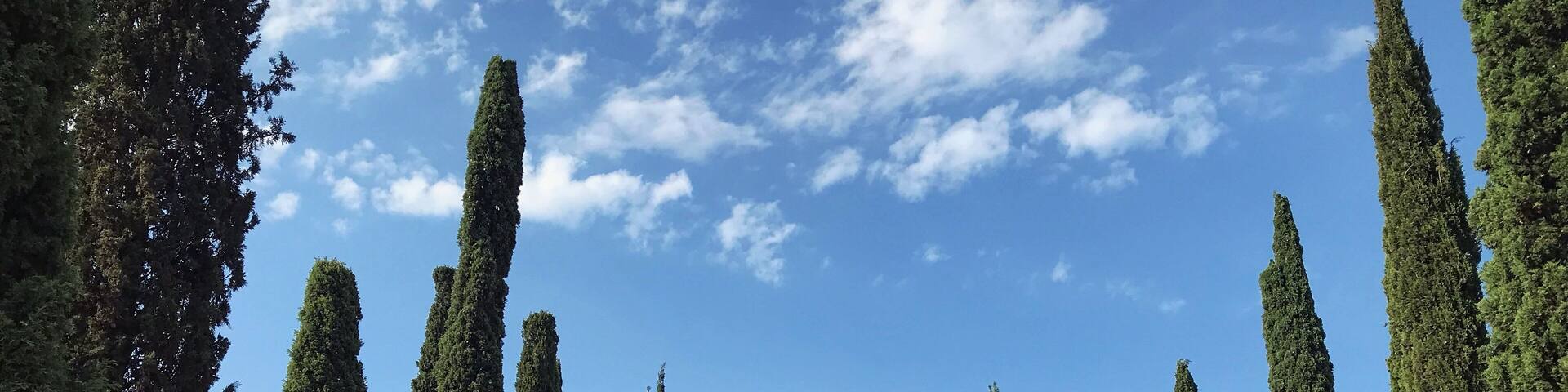 A beautiful spot for a walk away from the main city.